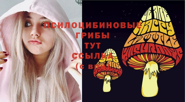 метадон Костерёво