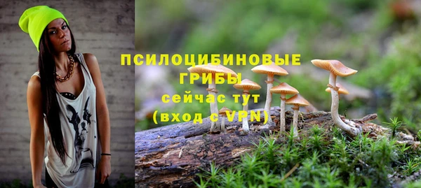 мяу мяу кристалл Магас