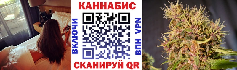 MEGA как войти  Александровское  Канабис тримм 